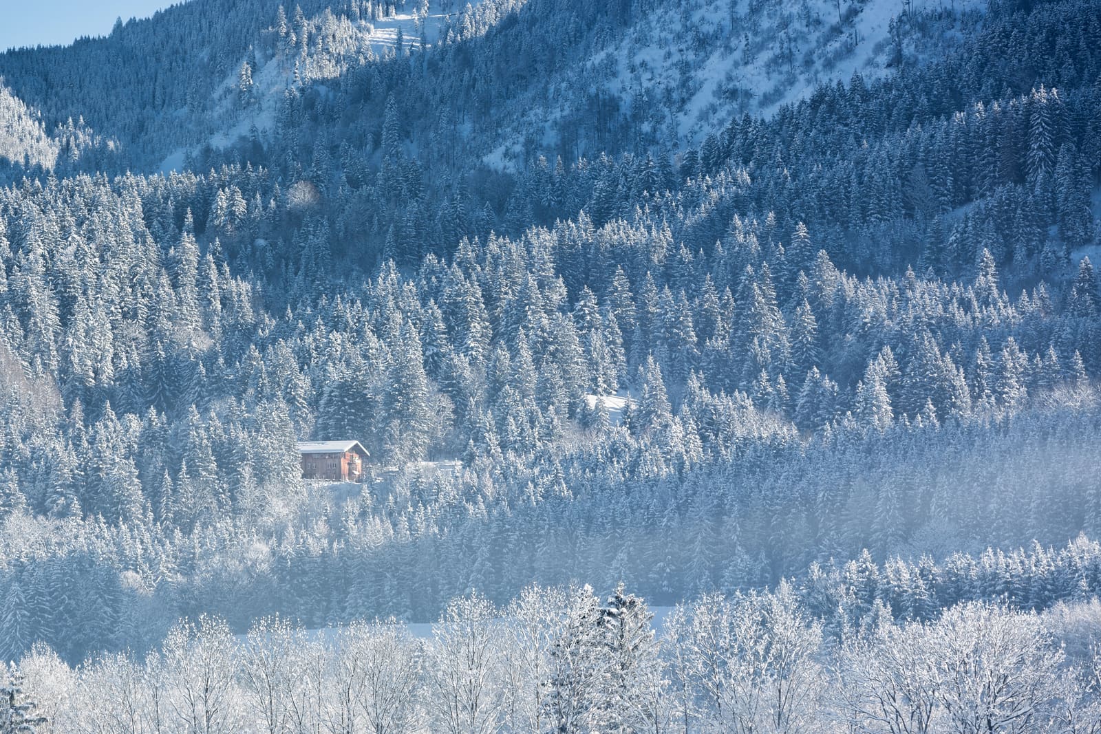 Einsame hölzerne Almhütte in einem dicht verschneiten Bergwald der Bayerischen Alpen