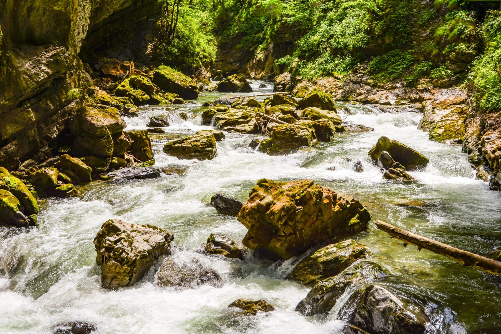 Die Breitach fließt durch die enge felsige Breitachklamm bei Oberstdorf